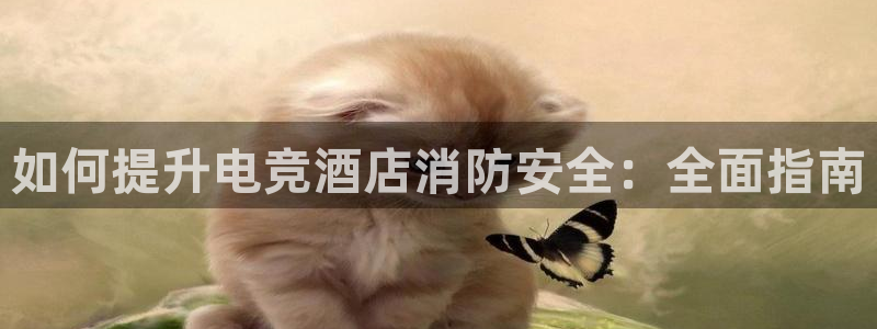 凯发正规官方网址